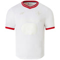 Camiseta Lille 2024-2025 80th aniversario